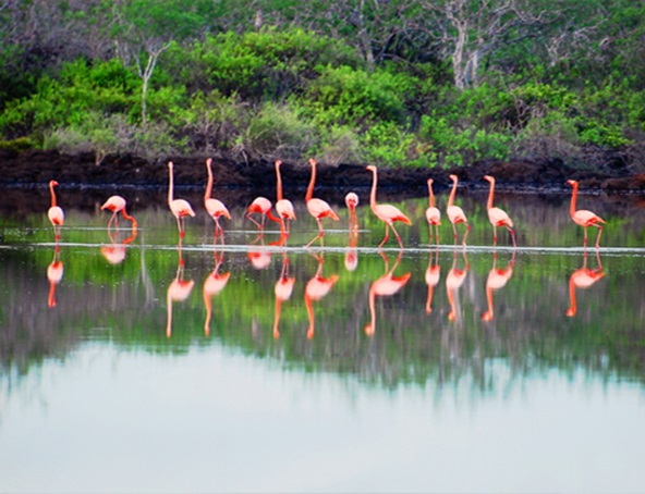 15 days galapagos cruise